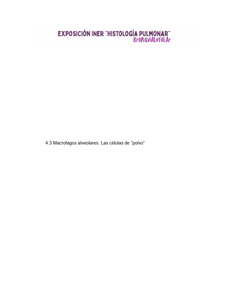Expo Iner | PDF