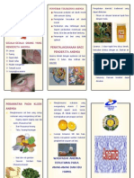 Leaflet Anemia