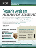 PecuariaVerdeEmNumerosSustentaveisFeedFood