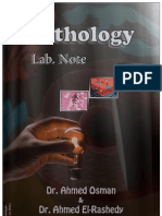Pathology+Lab - 2