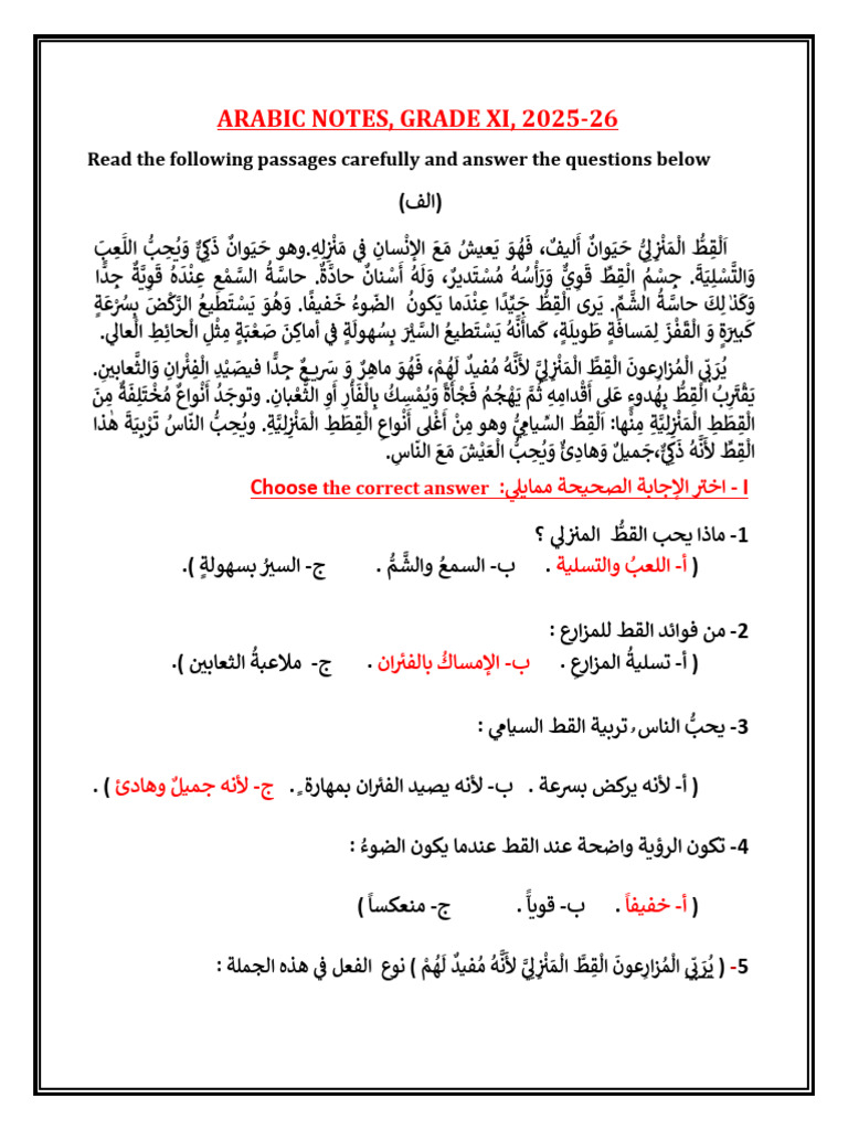 Arabic Notes - Grade 11, 2025-26 | PDF