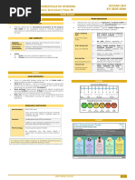 Pain Level Classification Chart | PDF