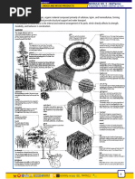 Timber Seasoning and Handling Defects | PDF