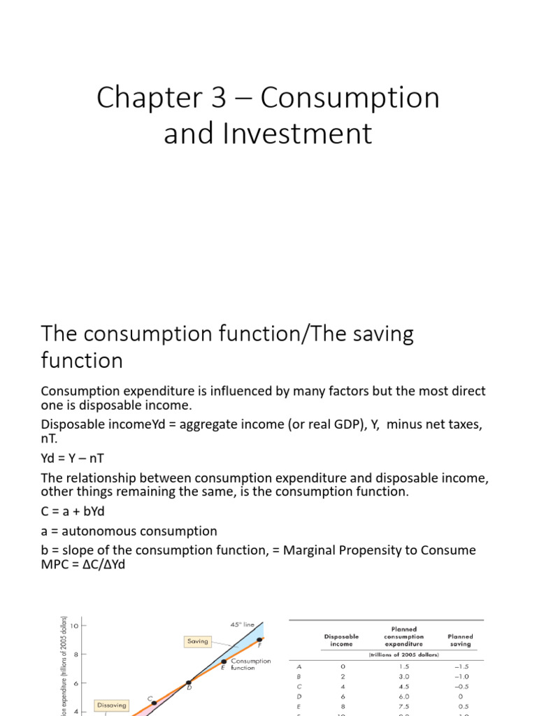 Ch. 3 Consumption and Investment | PDF