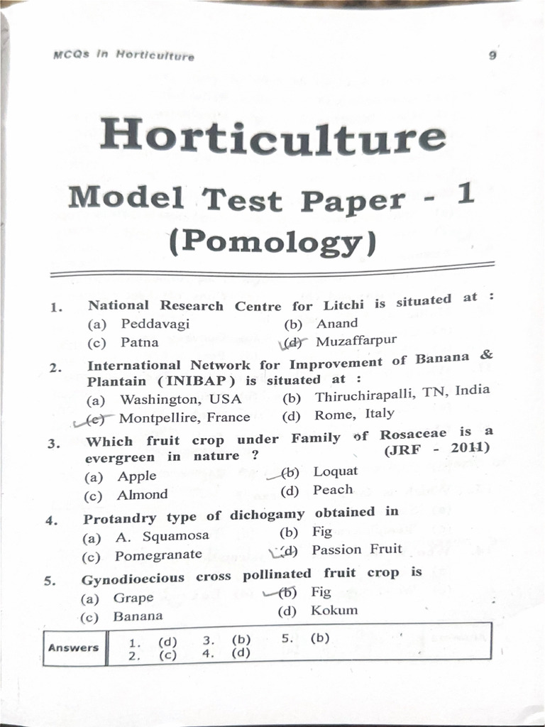 Model Paper 1 | PDF