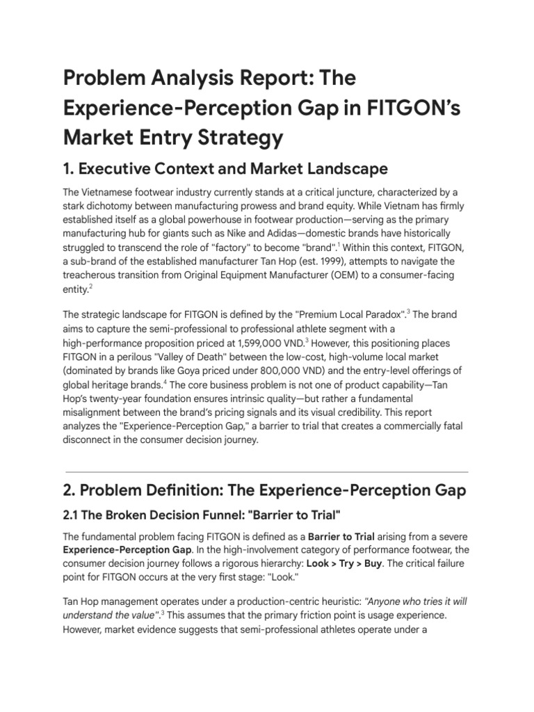 FITGON Problem Analysis Report Draft | PDF | Brand | Retail