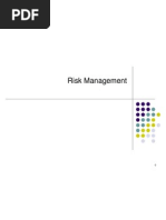 Topic 8 Managing Risk New 1233829259255133 3