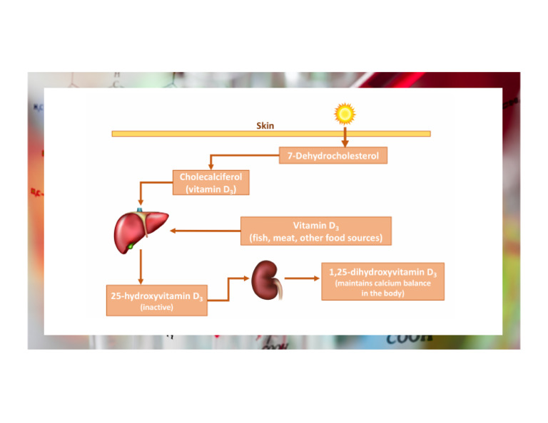Vitamin D Conversion Chart FDMT 5241 | PDF