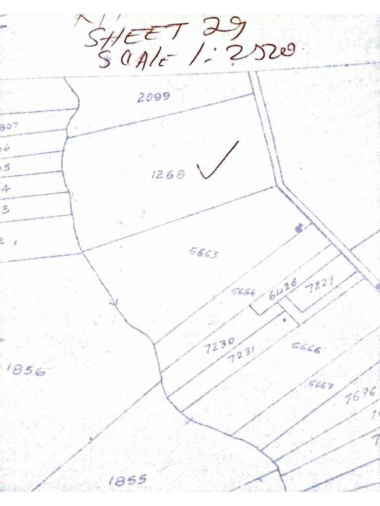 1268 Map | PDF