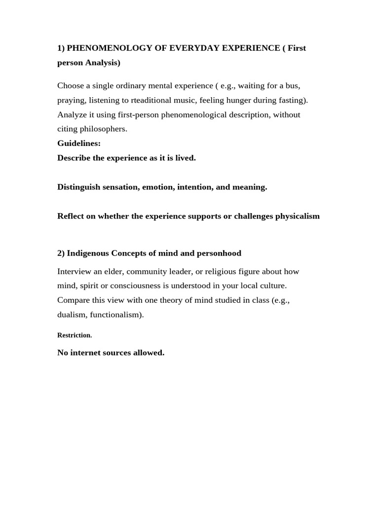 Phenomenology of Everyday Experience... | PDF