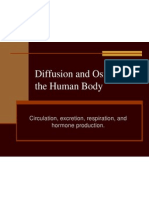 Diffusion and Osmosis in the Human Body