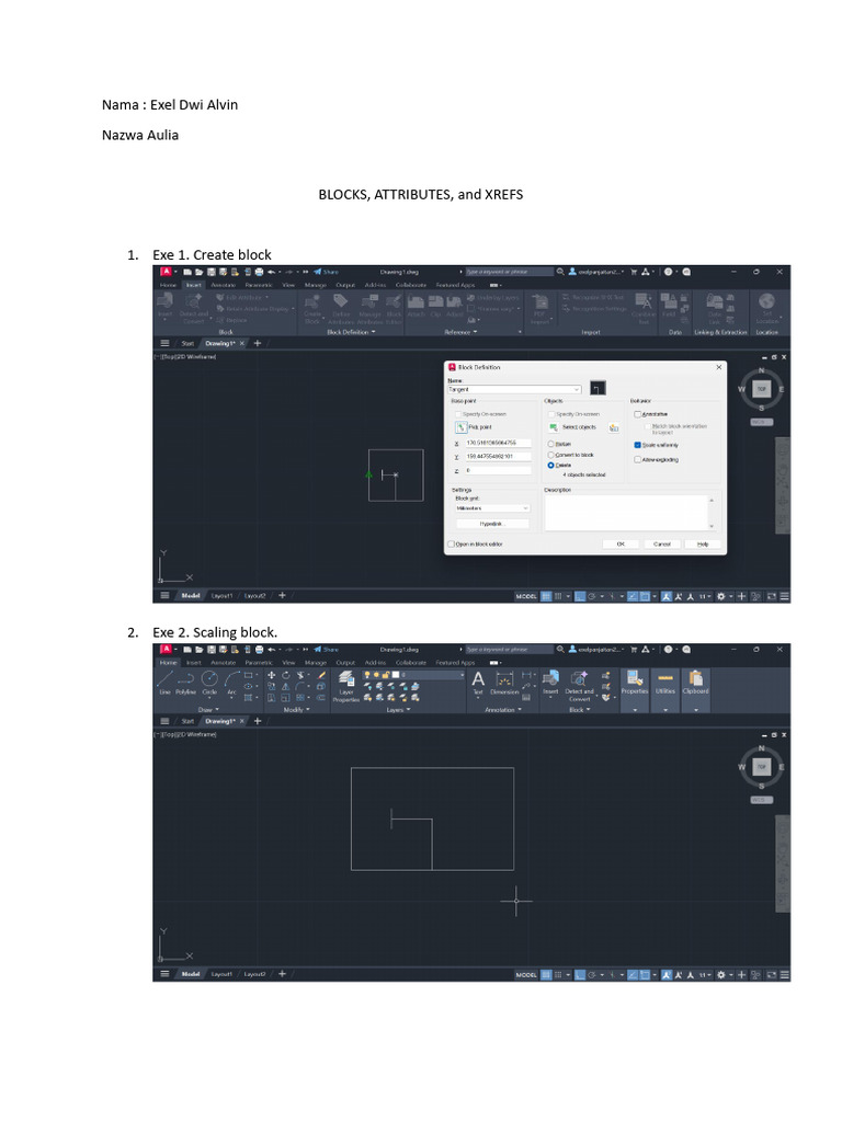 Cad Blocks, Attributes.... | PDF