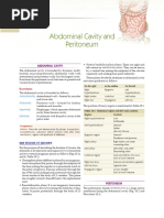 Anatomy of the Peritoneum Explained | PDF | Peritoneum | Anatomy