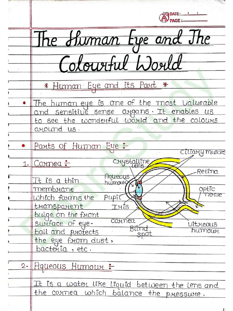 The Human Eye and The Colorful World | PDF