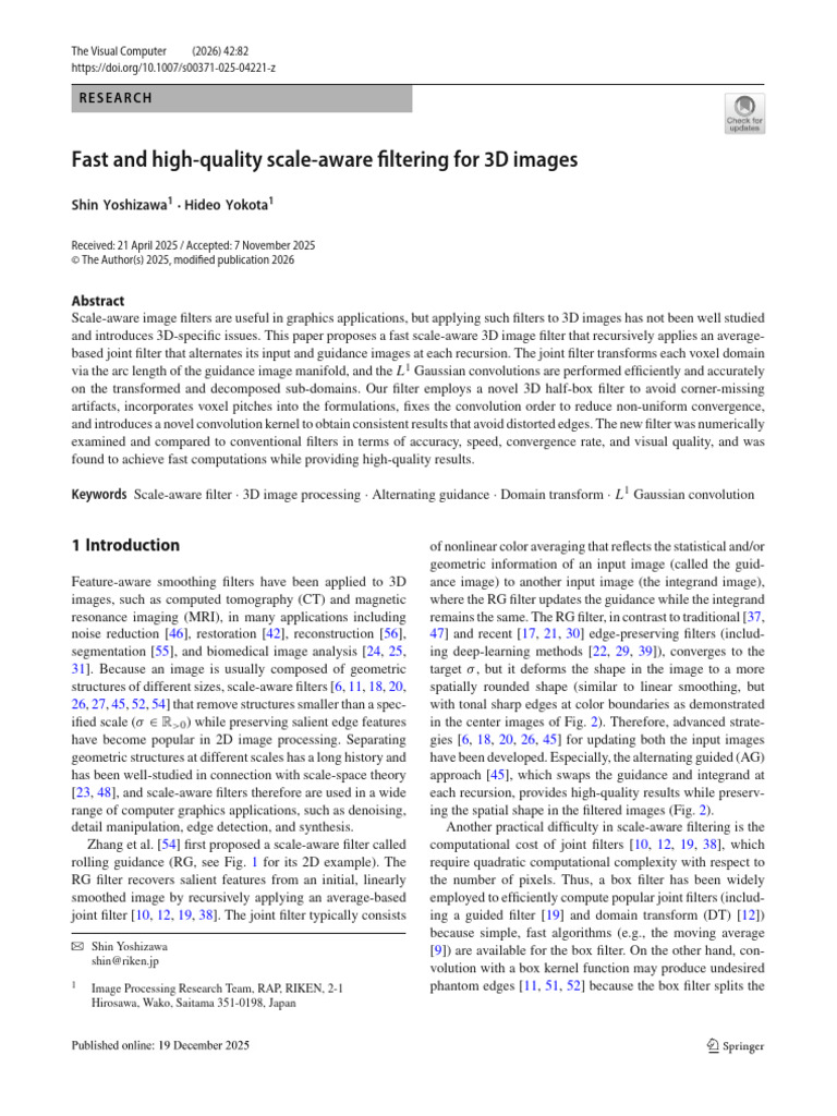 Fast and High-Quality Scale-Aware Filtering For 3D Images: Shin ...