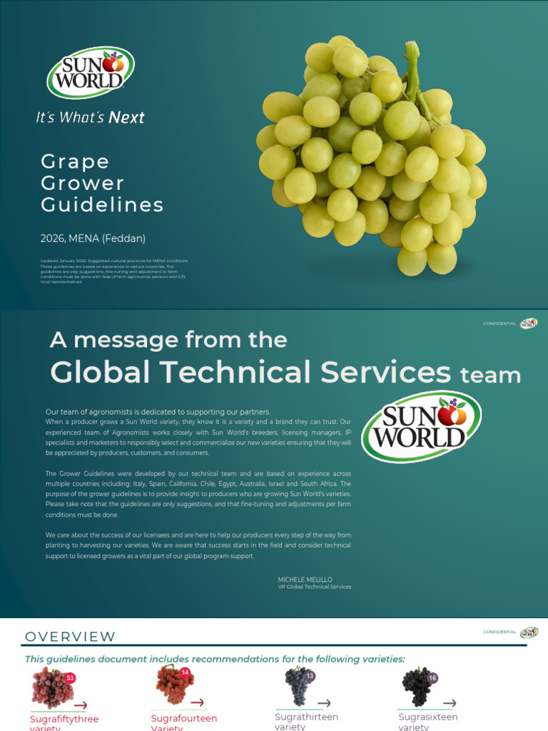 SW-GTS Grape Grower Guidelines MENA Feddan (Jan 2026) | PDF | Vineyard ...