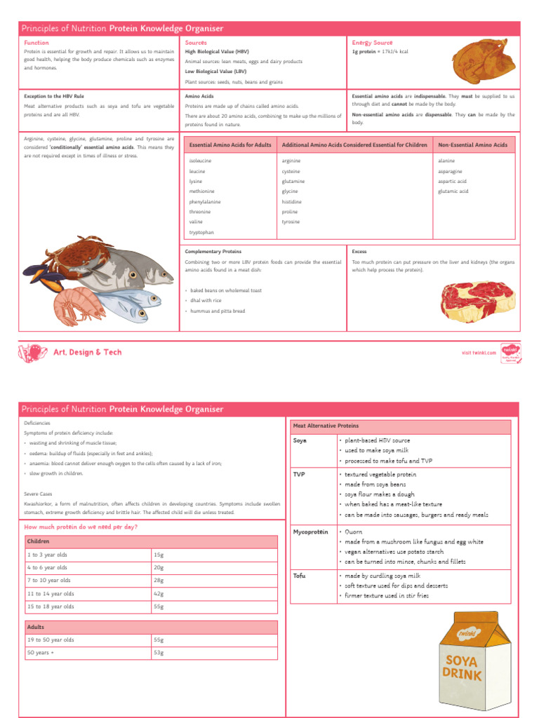 Protein Knowledge Organiser | PDF | Amino Acid | Natural Products
