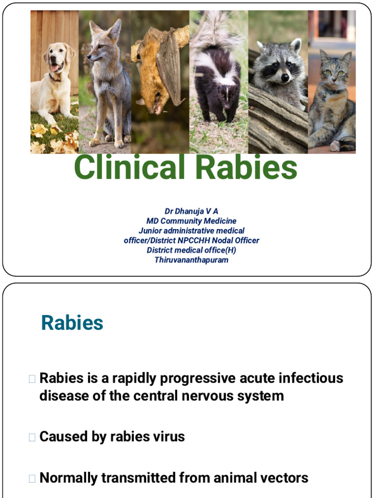 TOT - Epidemiology and Prevention of Rabies 01 Sep 2022 Dhanu | PDF ...