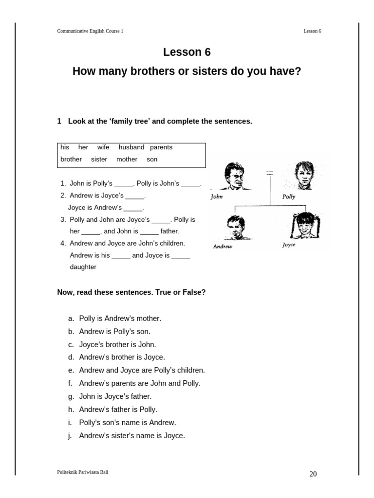 Lesson 6 How Many Brothers or Sisters Do You Have | PDF