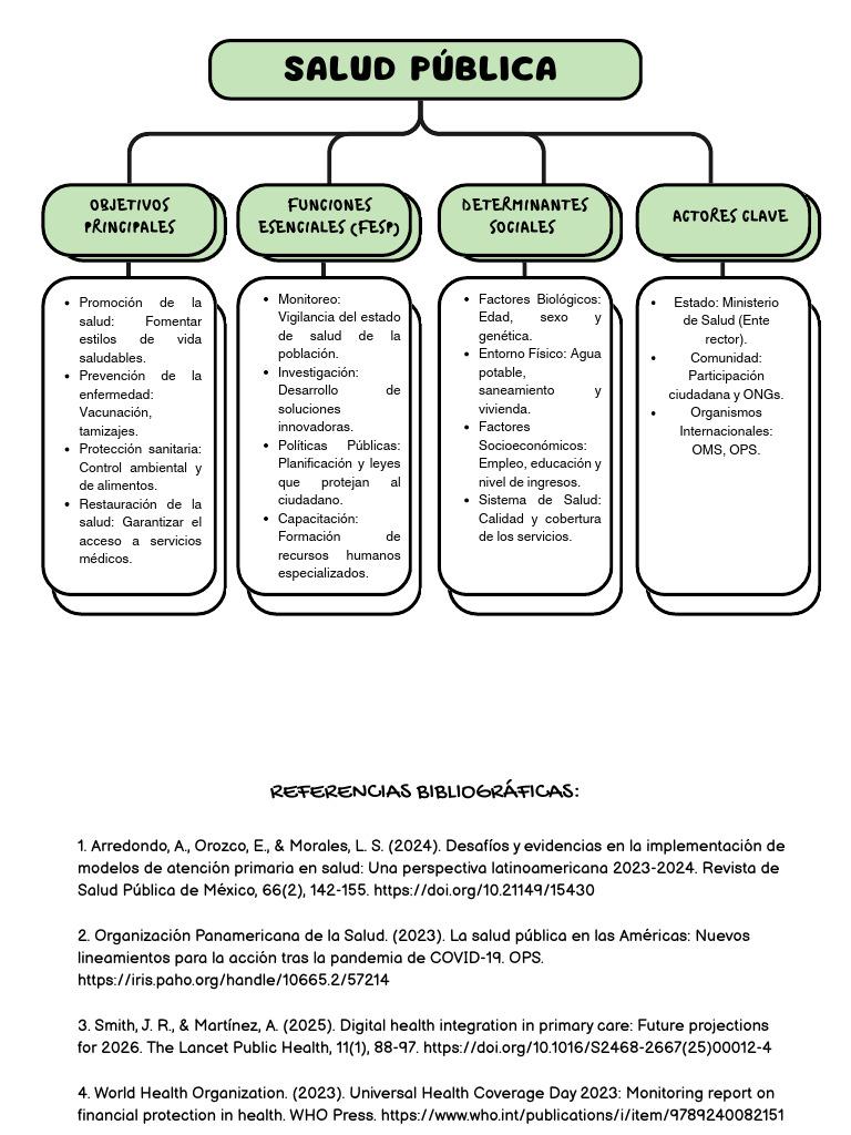 Salud Pública - Mapa Conceptual | PDF