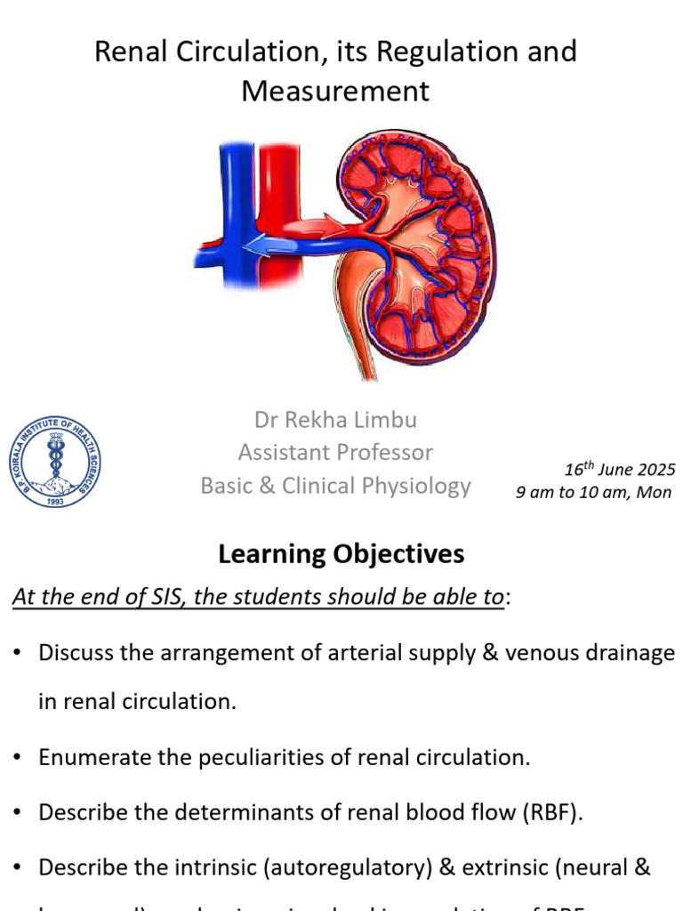 Renal Circulation, Its Regulation & Measurement PDF | PDF | Kidney ...