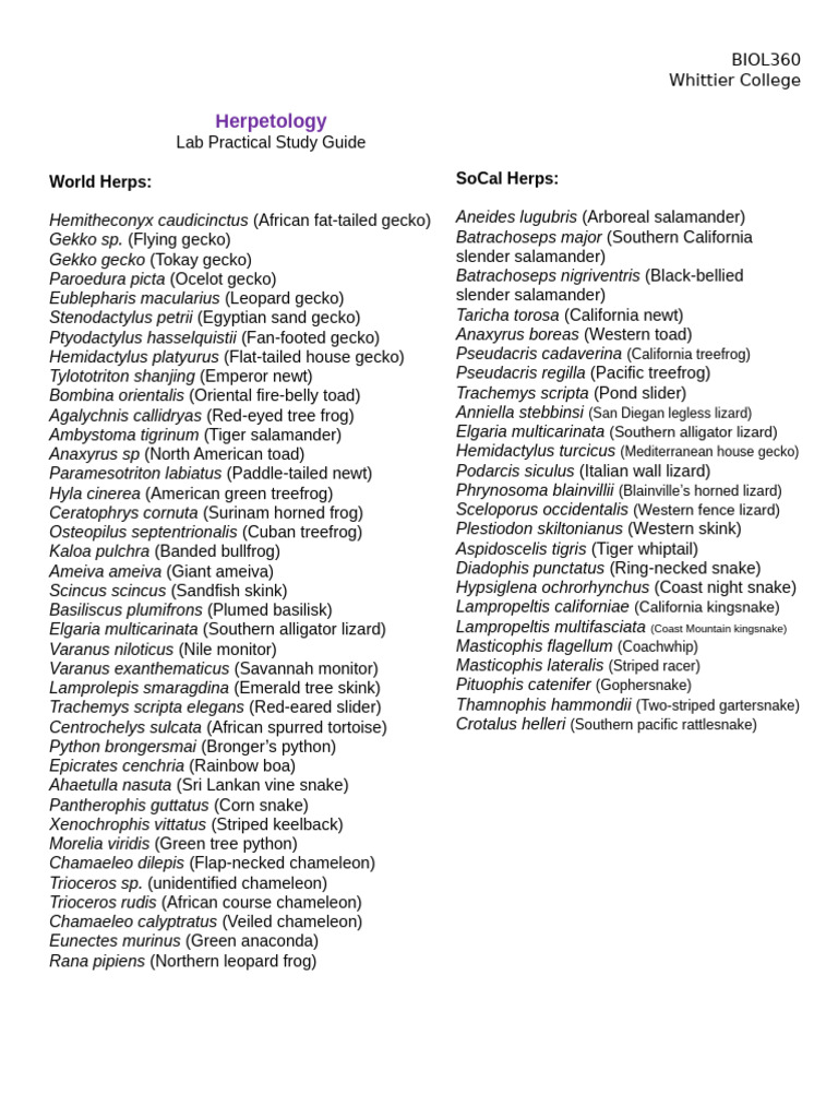 Lab Practical List of Species To Know | PDF | Lizard | Reptile