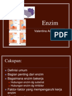 Enzim Valen