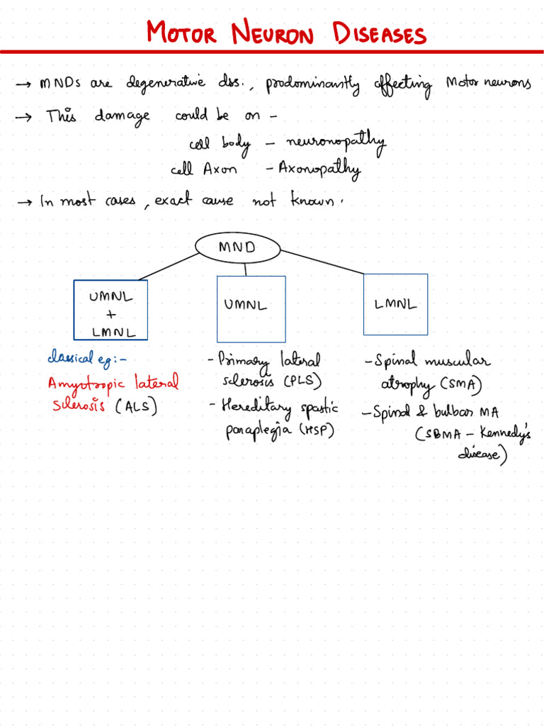 Motor Neuron Diseases | PDF | Neuroanatomy | Diseases And Disorders