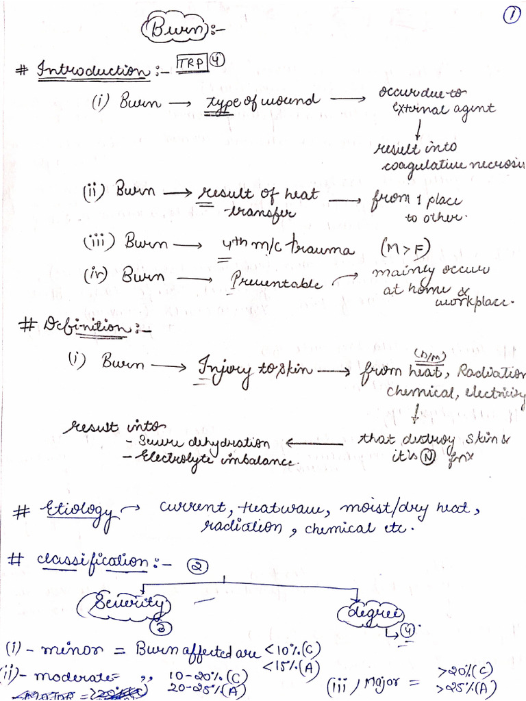 Burn Short Notes | PDF