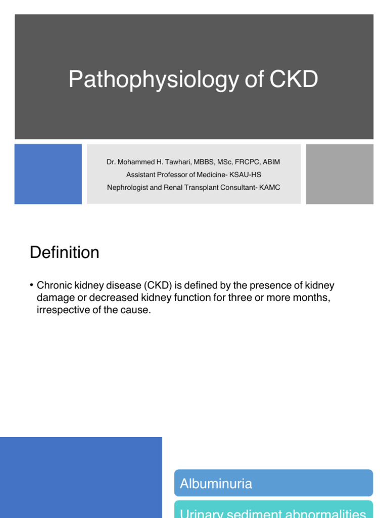 CKD Pathogenesis | PDF