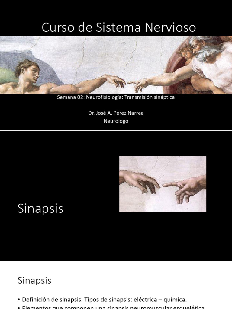 SN 2017 2 Semana 02 Clase 05 Sinapsis | PDF | Sinapsis | Norepinefrina