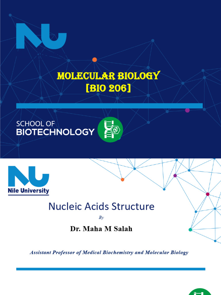 Lecture 1 - Nucleic Acids (Part I) | PDF | Dna | Nucleic Acid Double Helix