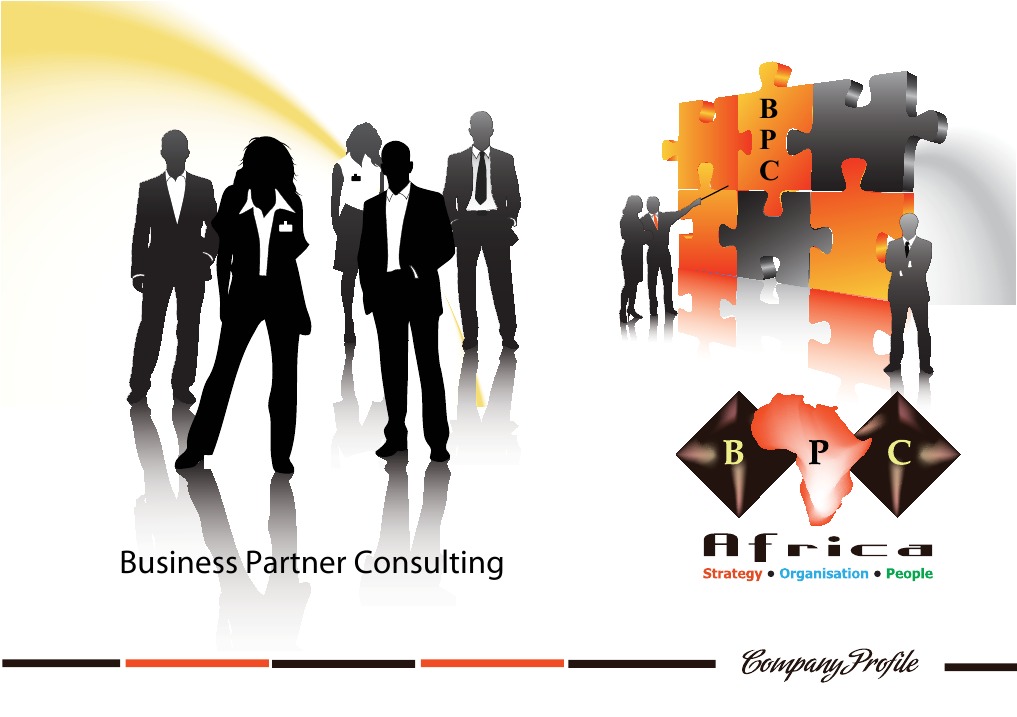 BPC Company Profile Overview | PDF