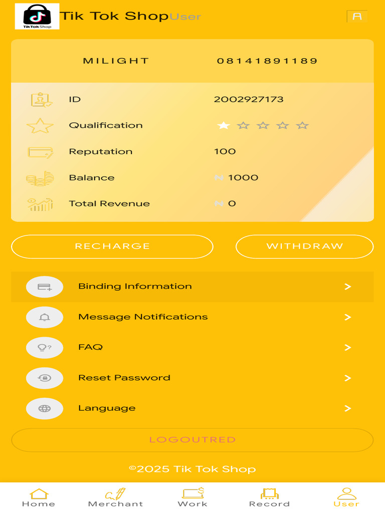 Tik Tok Shop 2 | PDF