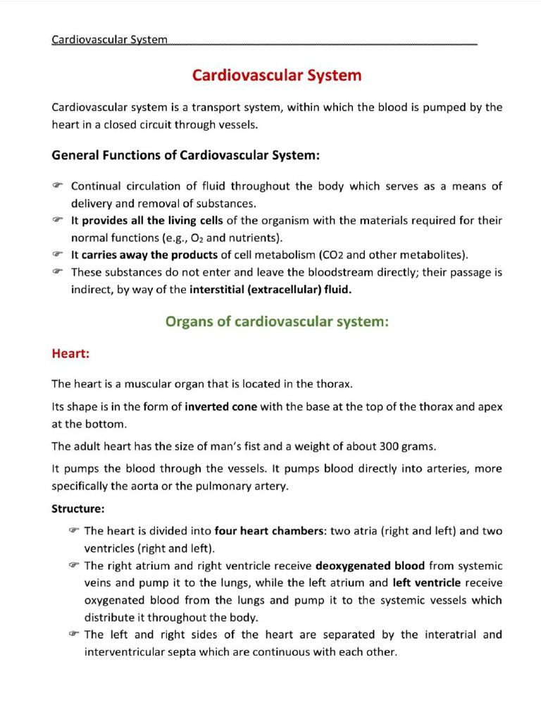 Cardiovascular System | PDF