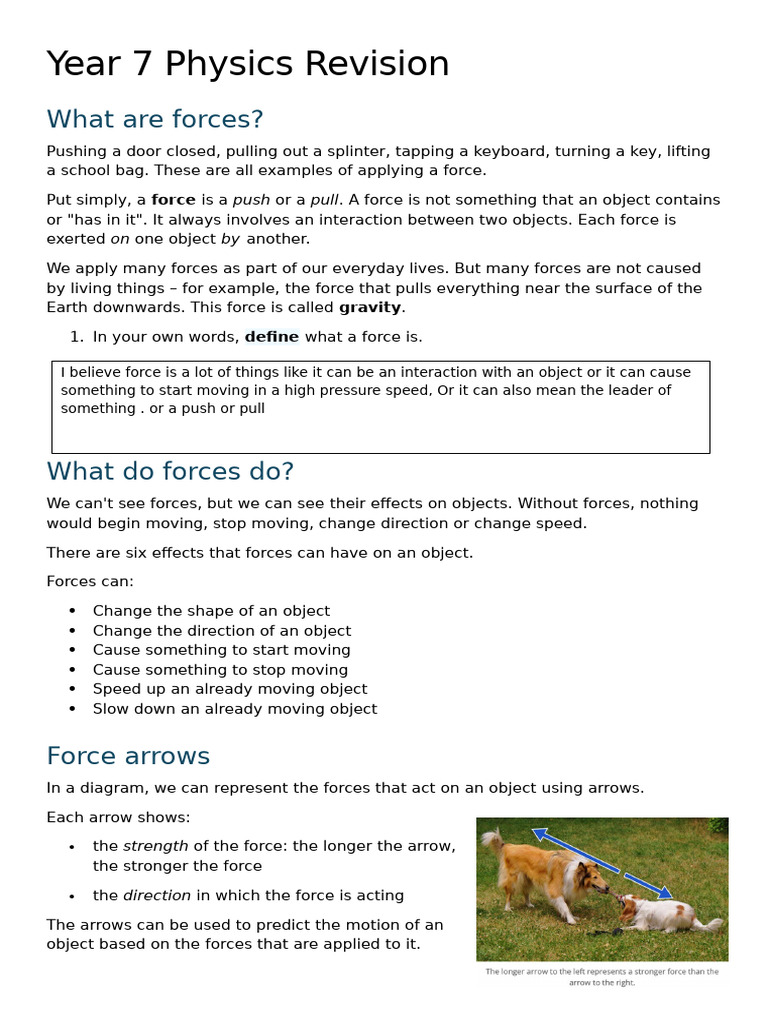 Year 7 Physics Revision | PDF | Force | Weight