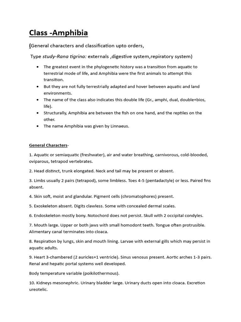 Class Amphibia | PDF | Stomach | Pancreas