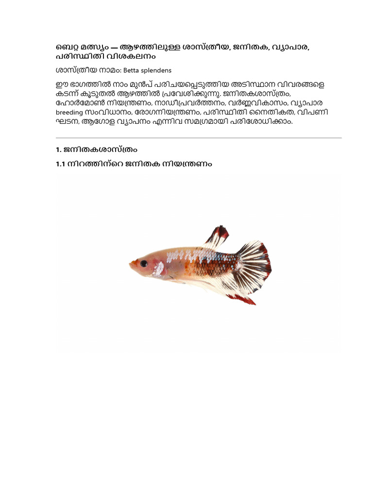 Betta Fish Malayalam - 2 | PDF