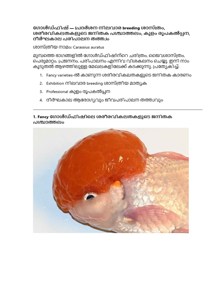 Gold Fish Malayalam-2 | PDF