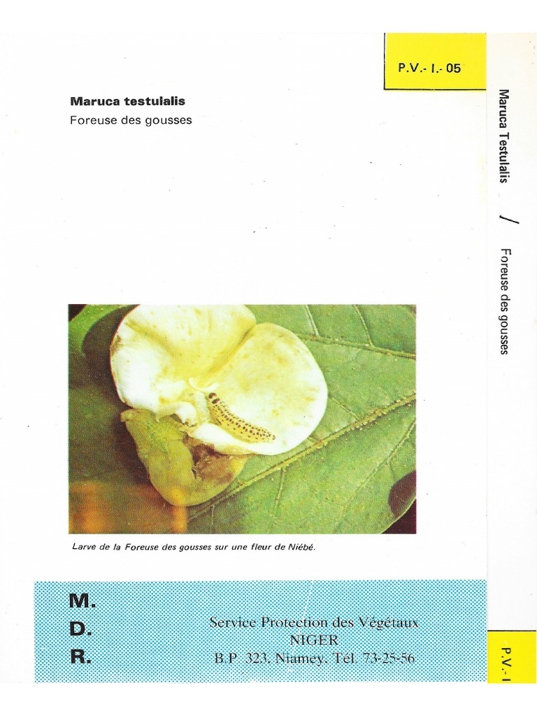 Maruca Vitrata | PDF