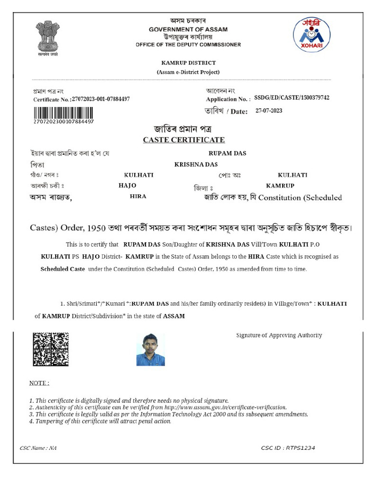 My SC | PDF