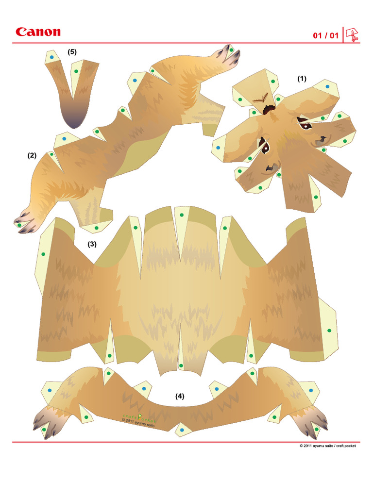 Capybara | PDF