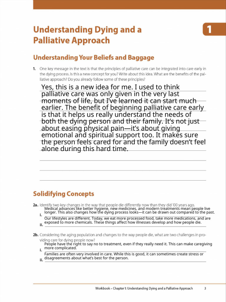Chapter 1 - Palliative Care Workbook | PDF | Palliative Care | End Of ...