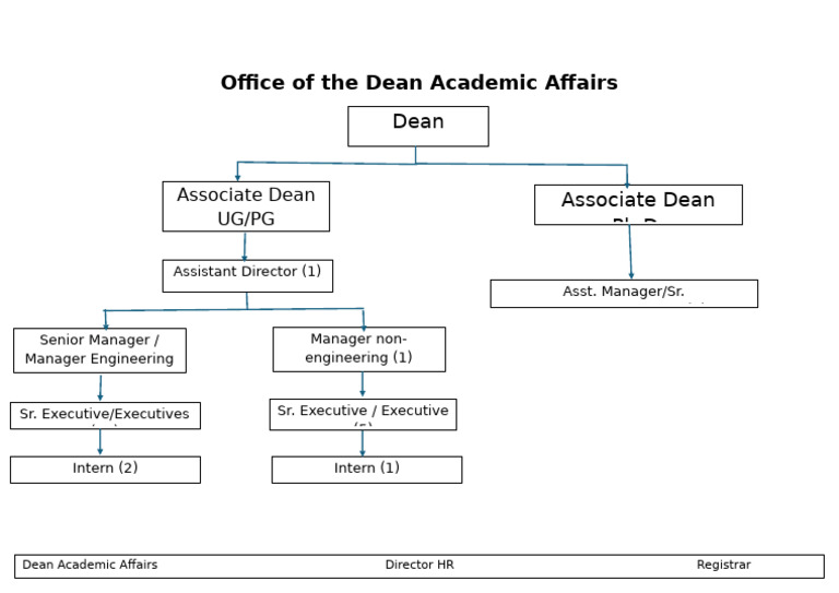 Org Chart | PDF