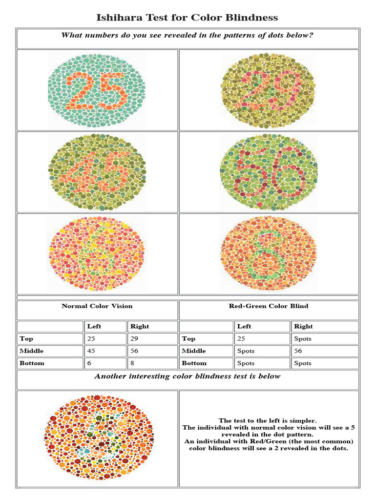 Main Ishihara Test Color Blindness Chart | PDF