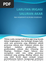 Download Larutan Irigasi Saluran Akar by Cubyna Windu SN100531608 doc pdf
