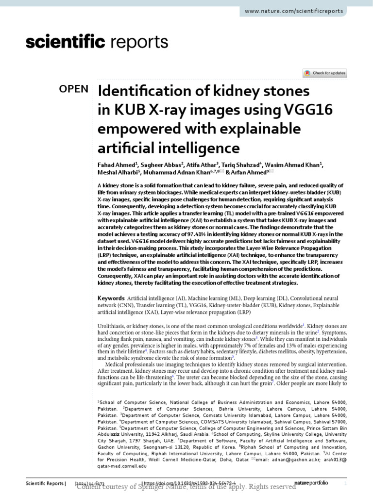 Identification of Kidney Stones in KUB X-Ray Image | PDF | Machine ...