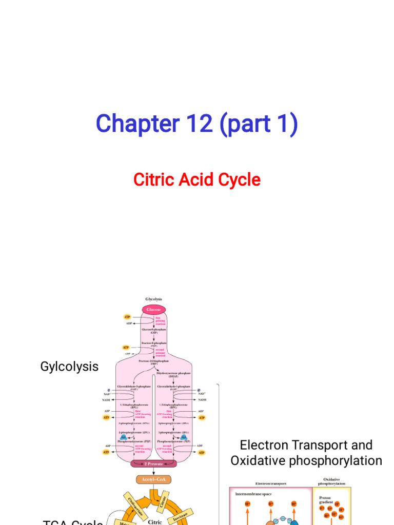 Chapter 12 (Part 1) Lecture-2 | PDF