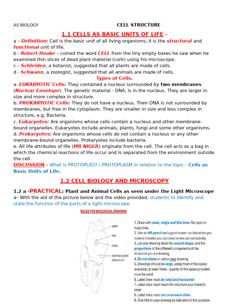 Cell Structure - As Biology | PDF | Cell (Biology) | Endoplasmic Reticulum