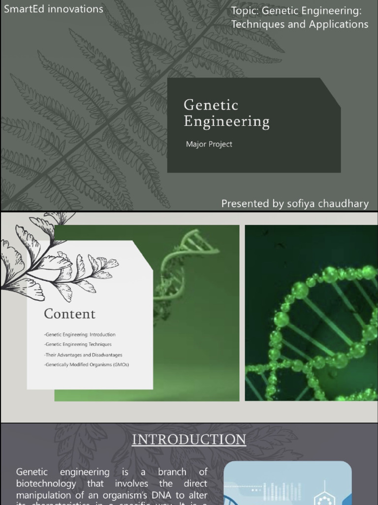 Major Project | PDF